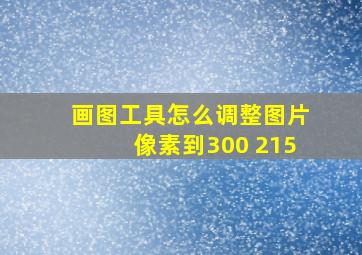 画图工具怎么调整图片像素到300 215